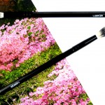 Top 5 unter 5 Beauty Tools Ebelin Blenderpinsel