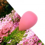 Top 5 unter 5 Beauty Tools Ebelin Make up Ei