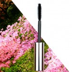 Top 5 unter 5 Beauty Tools Altes Mascara Bürstchen